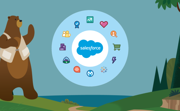 Salesforce for Your Business Needs