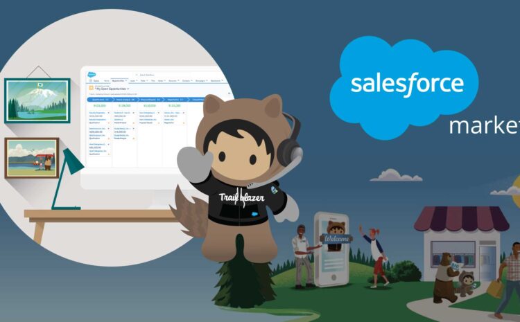 how to use salesforce for marketing