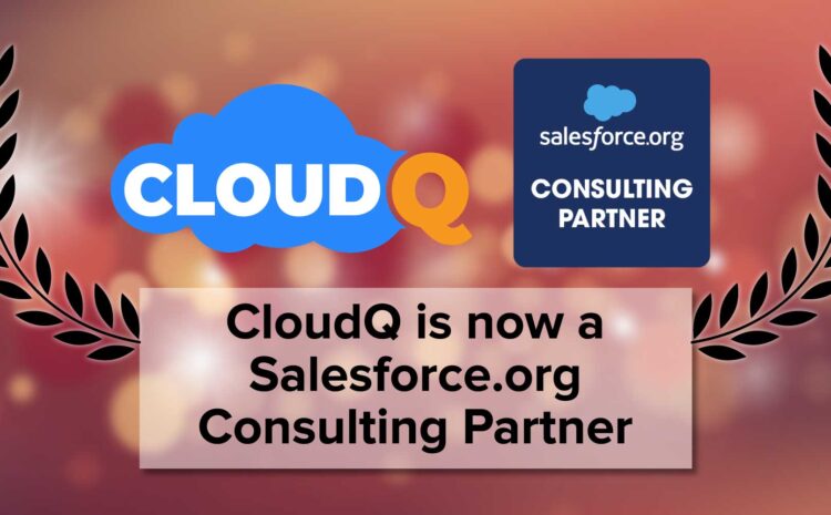 Salesforce.org Consulting Partner