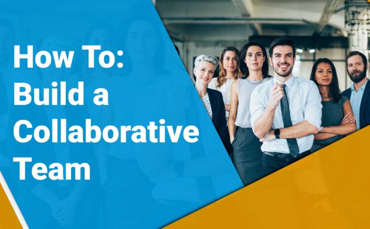 how to build a collaborative team