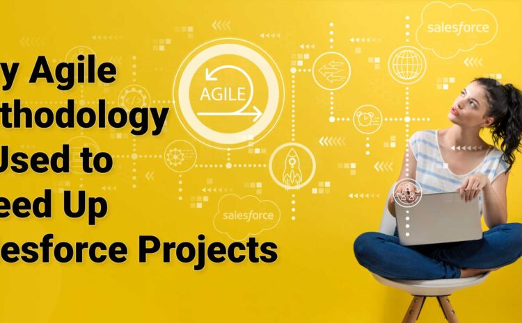 Speed Up Salesforce Projects