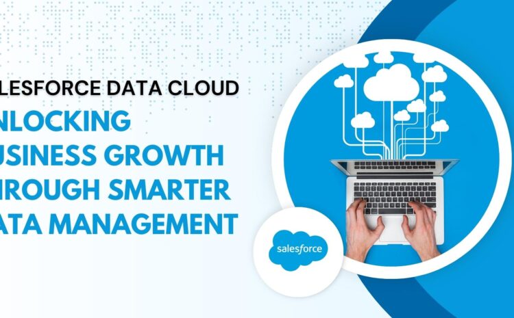 Salesforce Data Cloud: Unlocking Business Growth Through Smarter Data Management 6 salesforce data cloud unlocking business growth through smarter data management