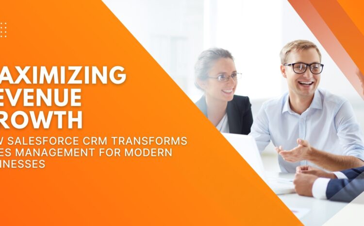 Maximizing Revenue Growth: How Salesforce CRM Transforms Sales Management for Modern Businesses 6 Maximizing Revenue Growth: How Salesforce CRM Transforms Sales Management for Modern Businesses