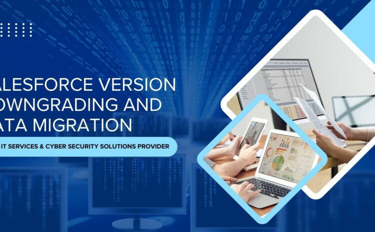 salesforce version downgrading and data migration for it services and cybersecurity solutions provider