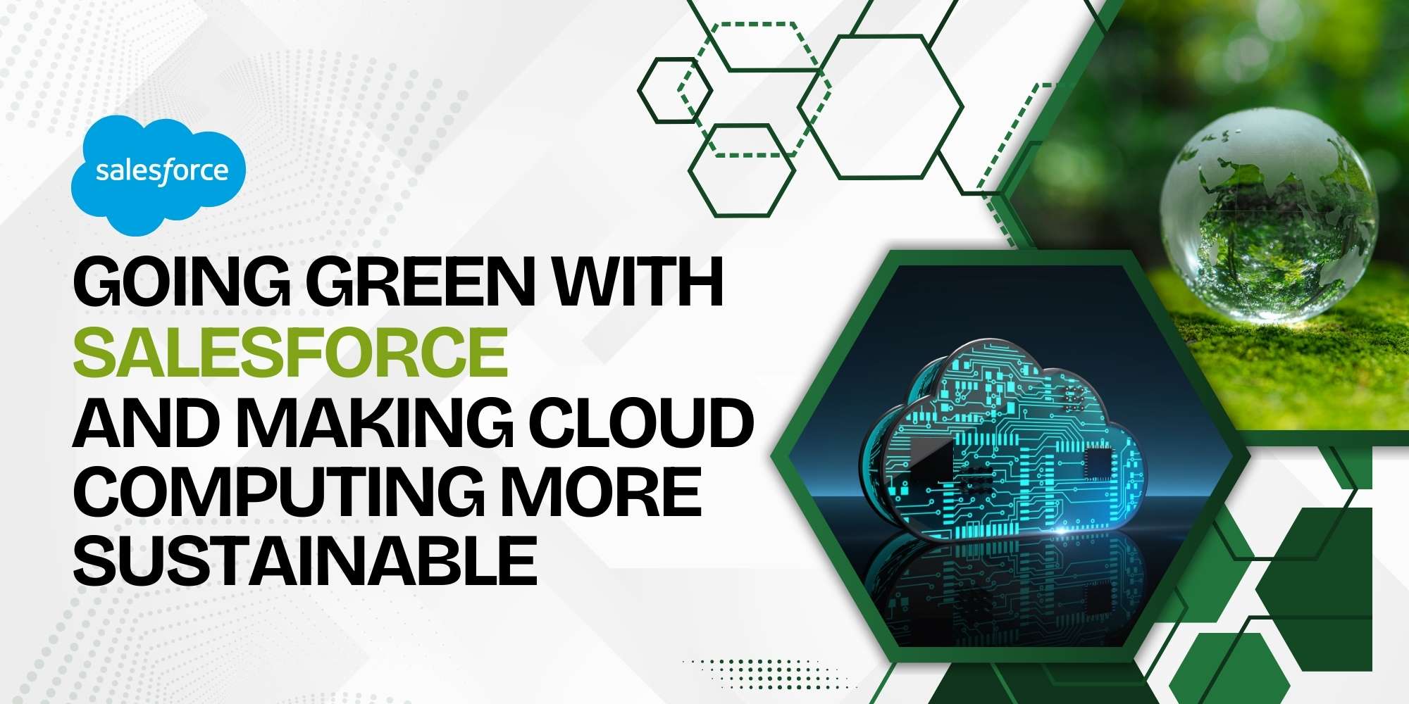 Going Green with Salesforce and Making Cloud Computing More Sustainable