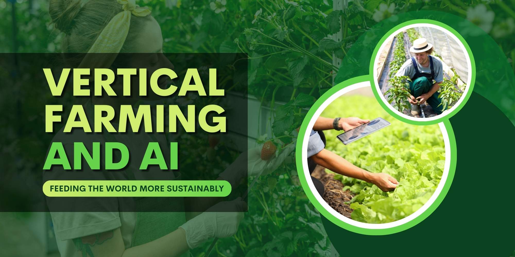 Vertical Farming and AI: Feeding the World More Sustainably