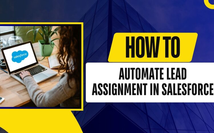 How to: Automate Lead Assignment in Salesforce 6 How to: Automate Lead Assignment in Salesforce