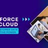 Salesforce Data Cloud: Turning Customer Data into Predictive Power